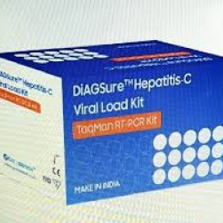 Viral Load HCV