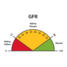 Kidney Function Test